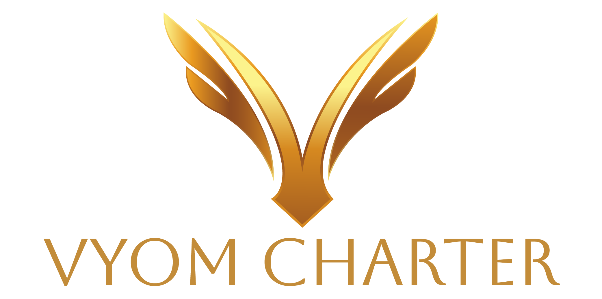 Vyom Charters | Charter Aircraft & Helicopter Services in India